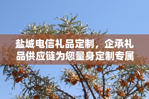 盐城电信礼品定制，企承礼品供应链为您量身定制专属礼品
