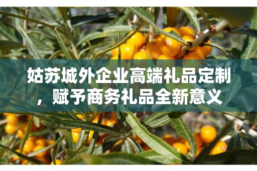 姑苏城外企业高端礼品定制，赋予商务礼品全新意义