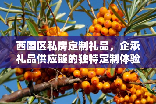 西固区私房定制礼品，企承礼品供应链的独特定制体验