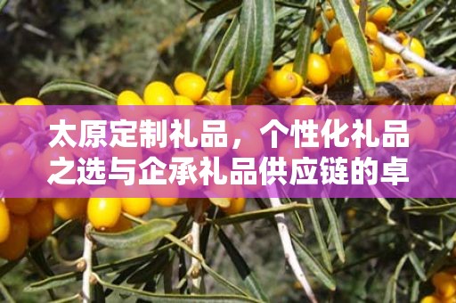 太原定制礼品，个性化礼品之选与企承礼品供应链的卓越服务