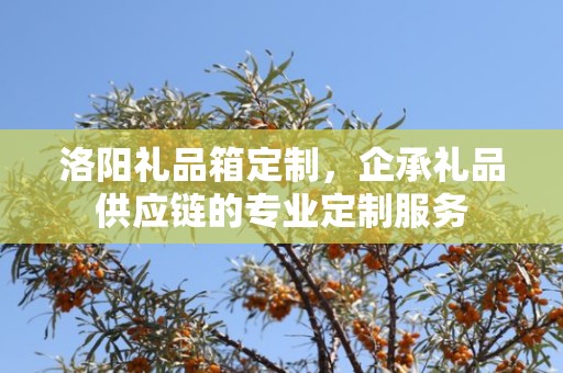 洛阳礼品箱定制，企承礼品供应链的专业定制服务