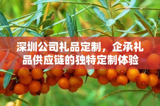 深圳公司礼品定制，企承礼品供应链的独特定制体验