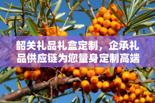 韶关礼品礼盒定制，企承礼品供应链为您量身定制高端礼品礼盒