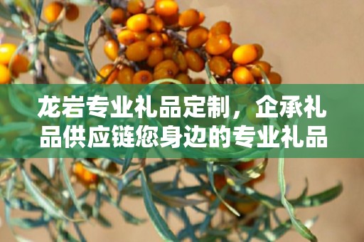 宁波Logo定制礼品，打造独特的企业礼品，企承礼品供应链助力商务推广