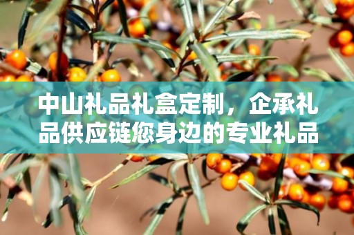 开办礼品定制公司，企承礼品供应链的独特优势与市场前景