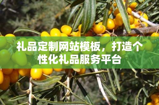 礼品定制网站模板，打造个性化礼品服务平台