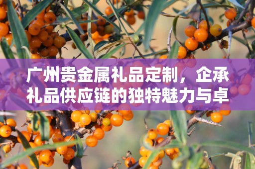 广州贵金属礼品定制，企承礼品供应链的独特魅力与卓越服务