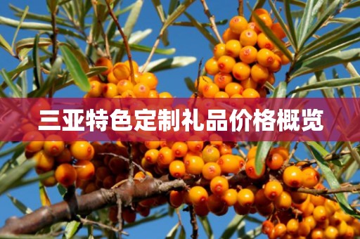 三亚特色定制礼品价格概览