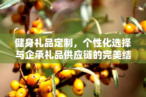 健身礼品定制，个性化选择与企承礼品供应链的完美结合