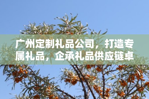 广州定制礼品公司，打造专属礼品，企承礼品供应链卓越服务