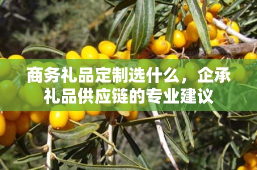 商务礼品定制选什么，企承礼品供应链的专业建议