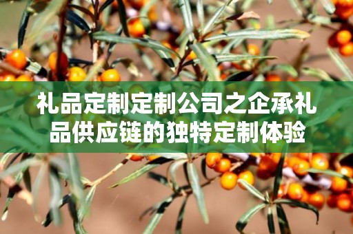 礼品定制定制公司之企承礼品供应链的独特定制体验