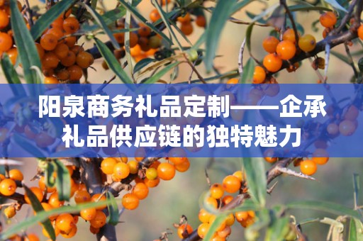 阳泉商务礼品定制——企承礼品供应链的独特魅力