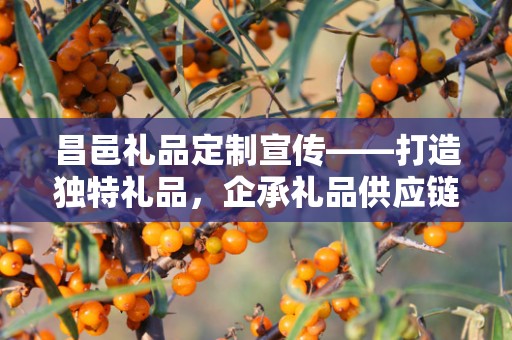 昌邑礼品定制宣传——打造独特礼品，企承礼品供应链助力您的选择